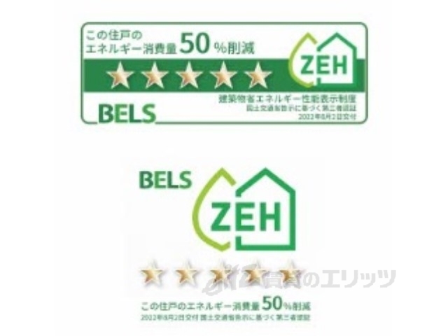 その他　ゼッチ