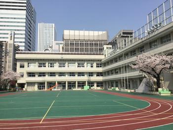 小学校　中央区立京橋築地小学校（小学校）まで368m