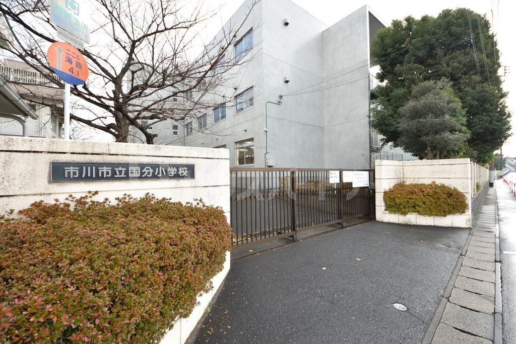 小学校　市川市立国分小学校（小学校）まで570m