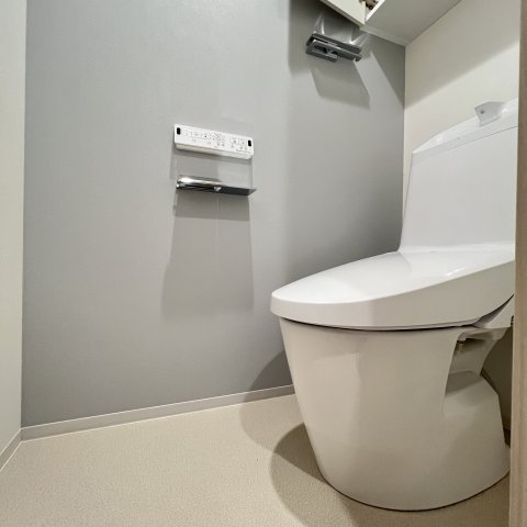 トイレ　同仕様タイプです