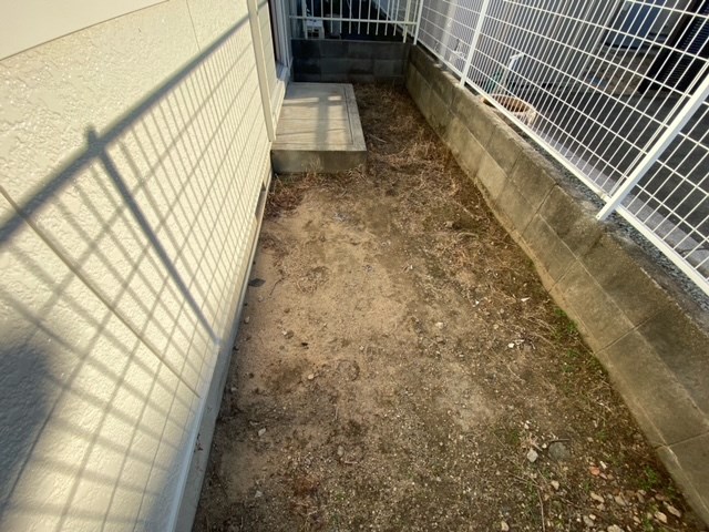 庭