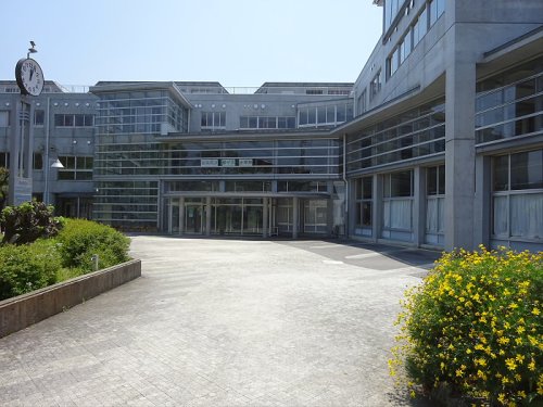 小学校　目黒区立緑ケ丘小学校（小学校）まで908m