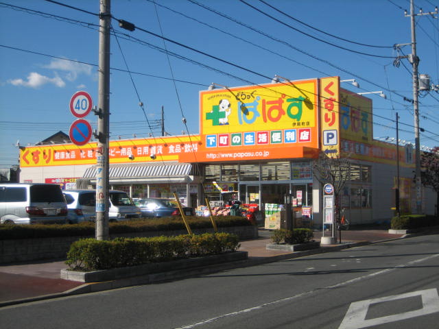 ドラックストア　どらっぐぱぱす伊興町店（ドラッグストア）まで584m