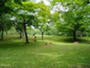 公園　榎田中央公園（公園）まで372m