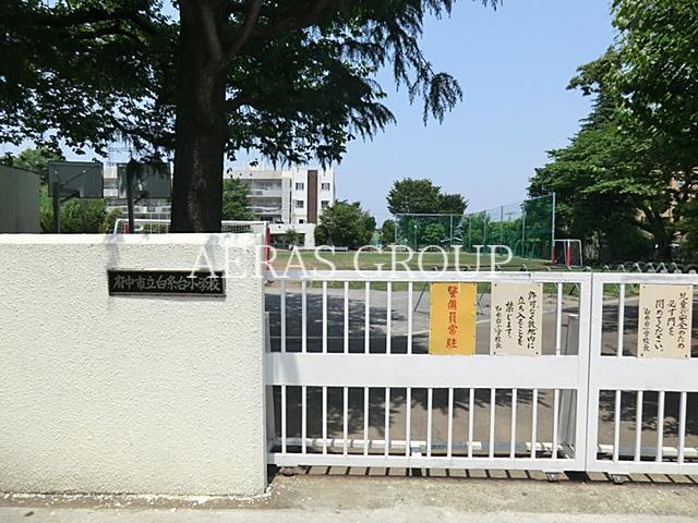 小学校　府中市立白糸台小学校（小学校）まで880m
