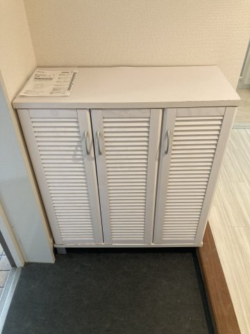 玄関　※同室タイプの画像です。内装の色などが異なる場合があります。