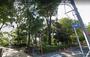 公園　碑文谷公園（学芸大学）（公園）まで503m