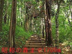 公園　昭和の森公園（公園）まで1700m