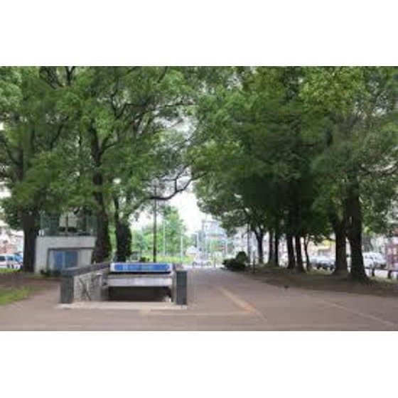 公園　阪東橋公園（公園）まで482m