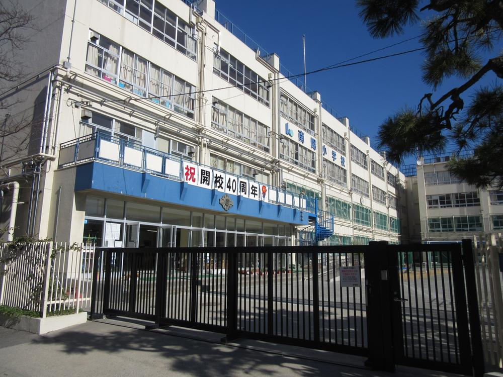 小学校　江東区立南陽小学校（小学校）まで283m