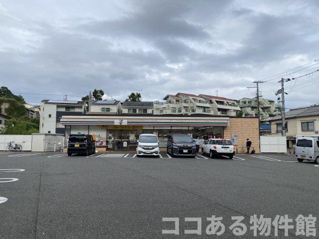 アリッサムのその他写真