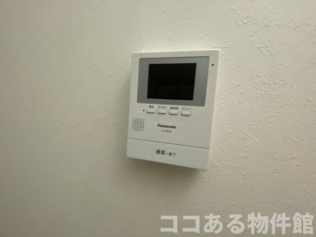 アリッサムのその他写真