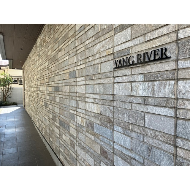 YANG RIVERのその他写真