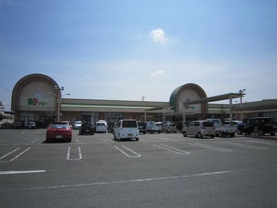 スーパー　ドミー小坂井店（スーパー）まで1014m