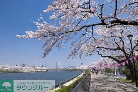 公園　隅田公園（公園）まで650m