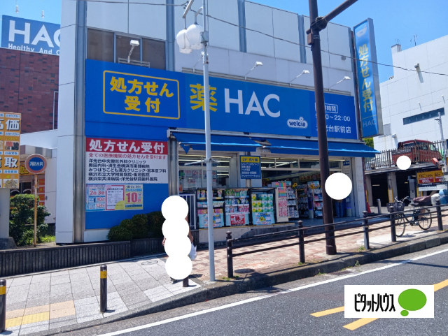 ドラックストア　ハックドラッグ洋光台駅前店（ドラッグストア）まで929m