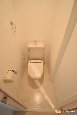 S-FORT江坂Fioreのトイレ写真