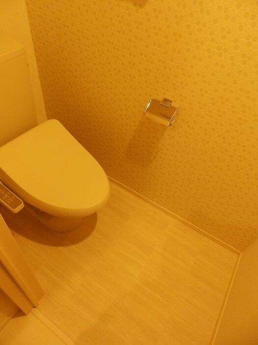 ＪＲ山陰本線 東山公園駅 徒歩31分 2階建 築9年のトイレ写真