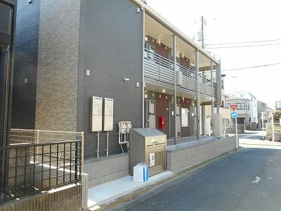 クレイノコンソラータのその他写真
