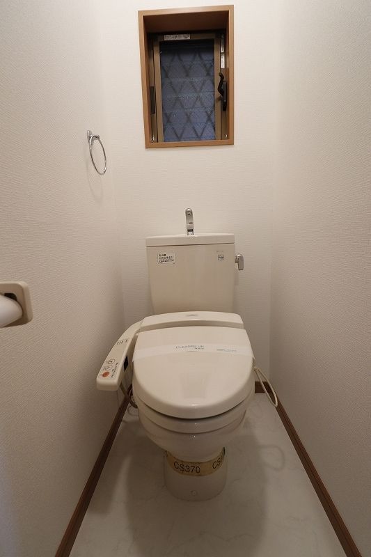 ドリームパレス高宮 197のトイレ写真