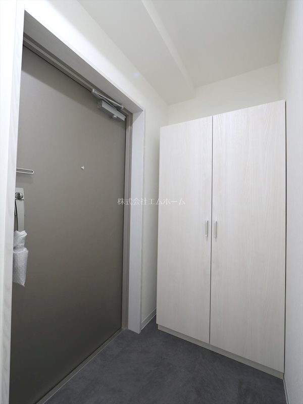 THE RESIDENCE IMAIKE EASTの玄関写真
