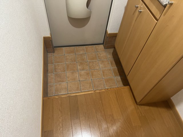 メゾンプラースIIの玄関写真