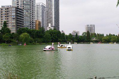その他　上野・不忍池のスワンボートと都会のビル群（その他）まで291m