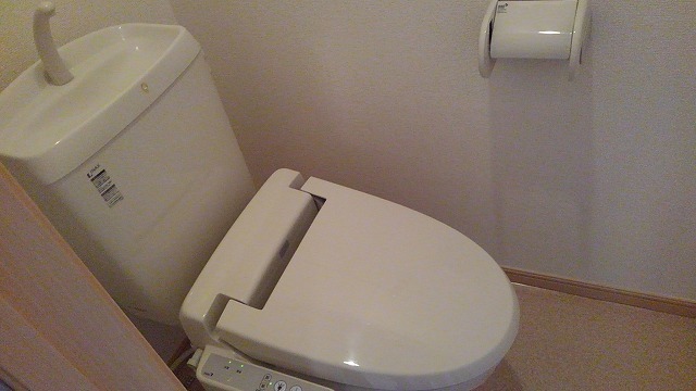 ＪＲ中央線 武蔵小金井駅 徒歩19分 2階建 築17年のトイレ写真