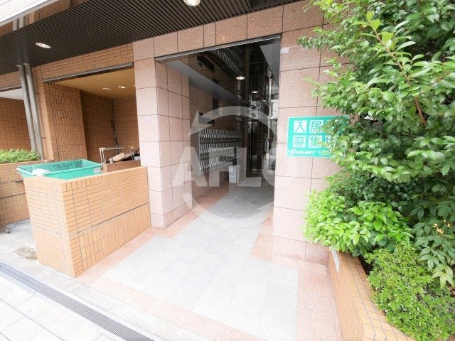 エントランス　ドミール堺筋本町　エントランス
