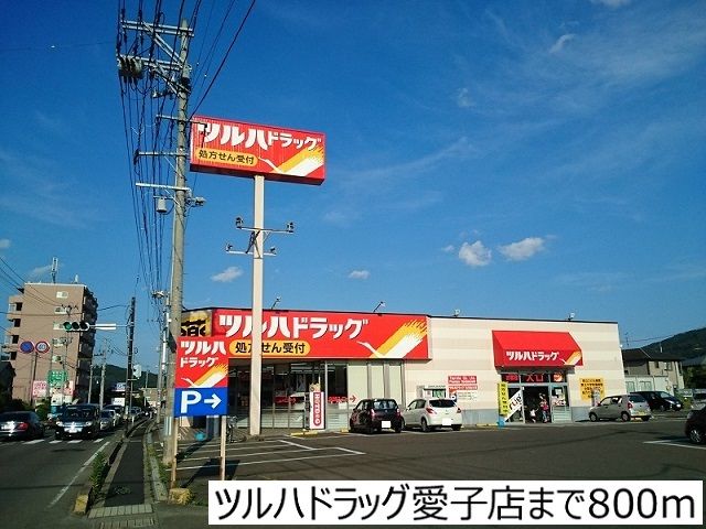 ドラックストア　ツルハドラッグ愛子店（ドラッグストア）まで800m
