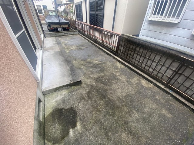 庭