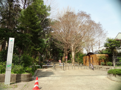 公園　林試も森公園（公園）まで703m