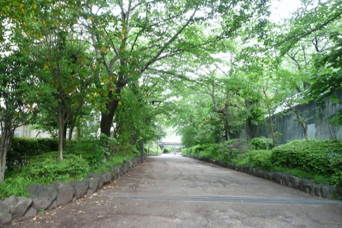 公園　呑川緑道（公園）まで113m