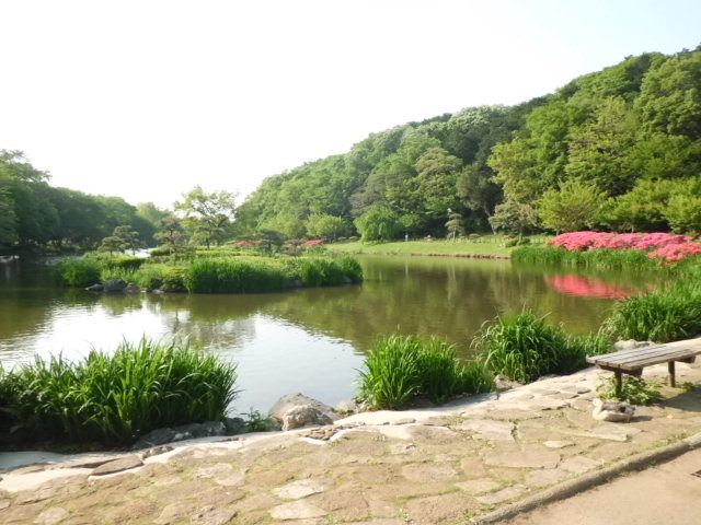 【市川市堀之内のマンションの公園】