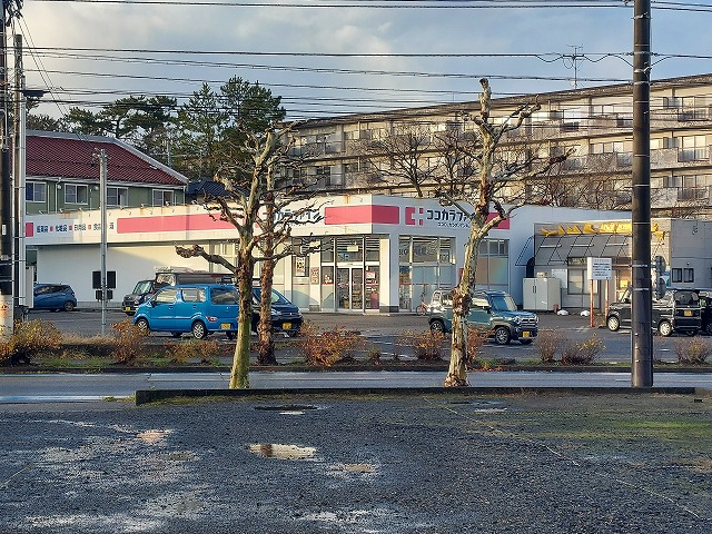 ドラックストア　ココカラファイン大学前店（ドラッグストア）まで333m