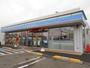 コンビニ　ローソン和歌山紀三井寺南店様（コンビニ）まで300m