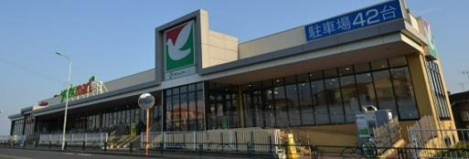 スーパー　ヨークマート青戸店（スーパー）まで267m