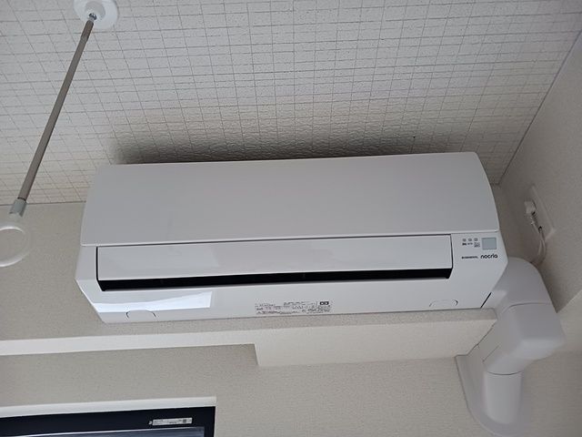 リッシュのその他写真