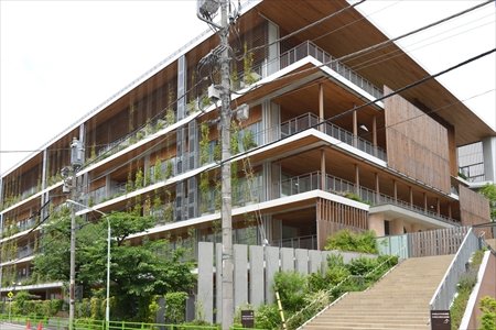 小学校　中央区立中央小学校（小学校）まで1479m