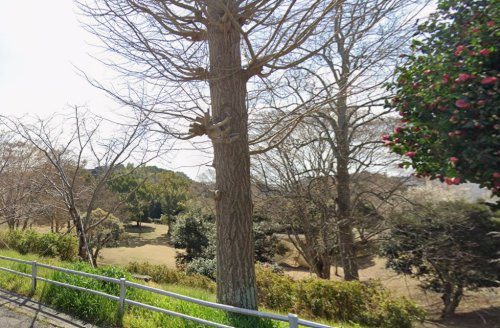 公園　国主近隣公園（公園）まで455m