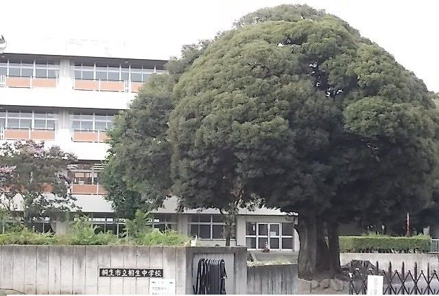 中学校　相生中学校（中学校）まで2000m