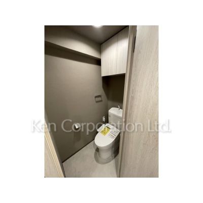コンフォリア芝浦IIのトイレ写真