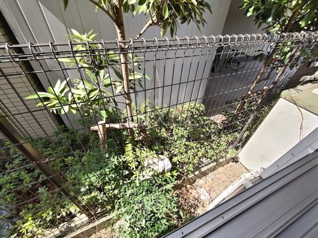 庭