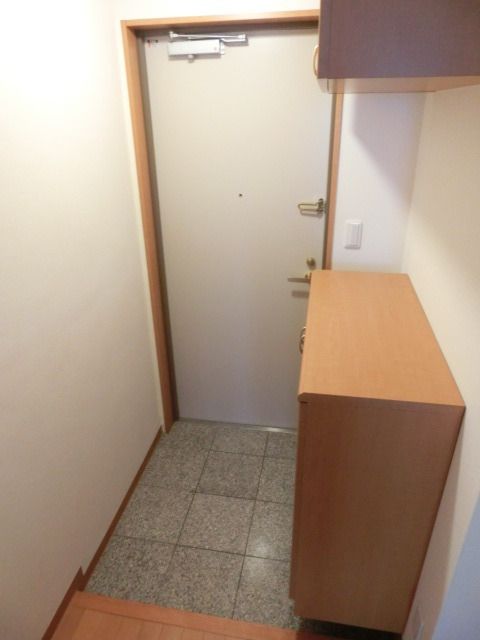 玄関　同建物1Kタイプ住戸設備施工例　現況優先