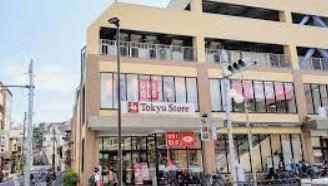 スーパー　Tokyu Store(トウキュウ ストア) 上池台（スーパー）まで1489m