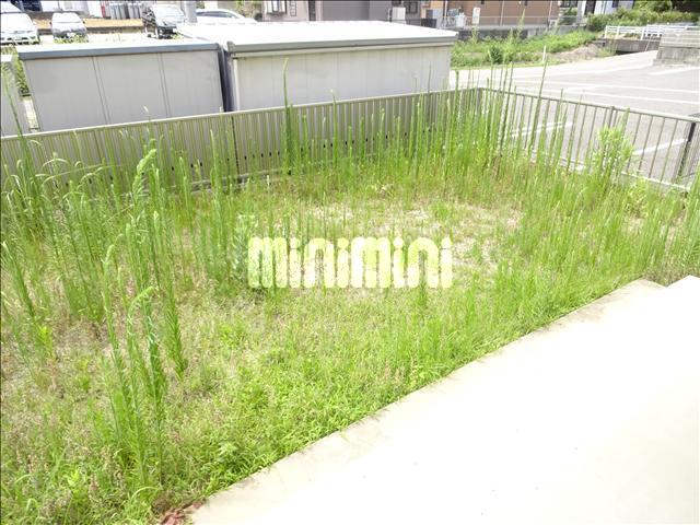 庭