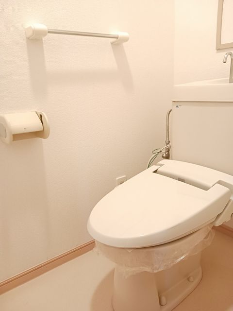 メゾン花梨IIのトイレ写真