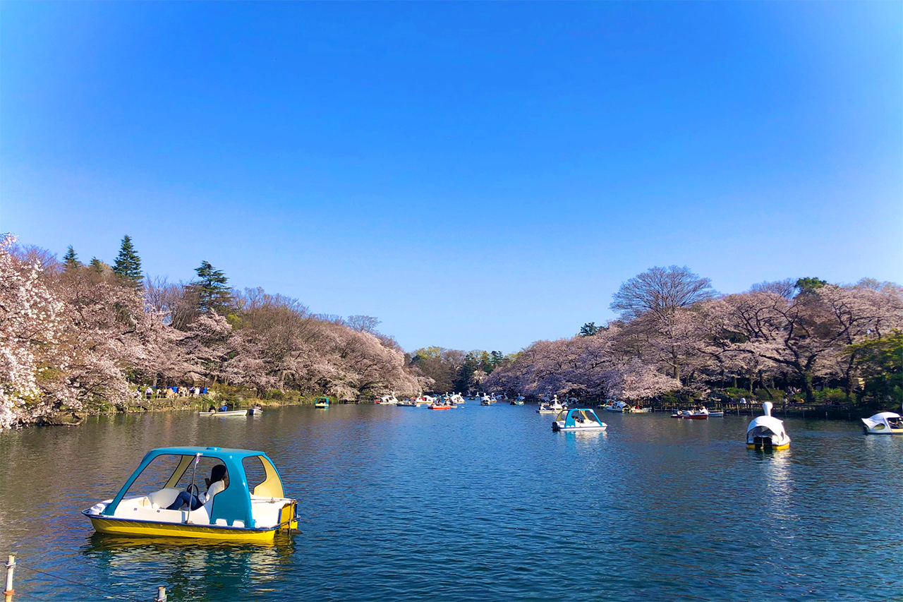 【縁木舎のその他】