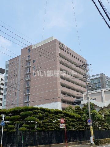 【徳島市南昭和町のアパートの大学・短大】