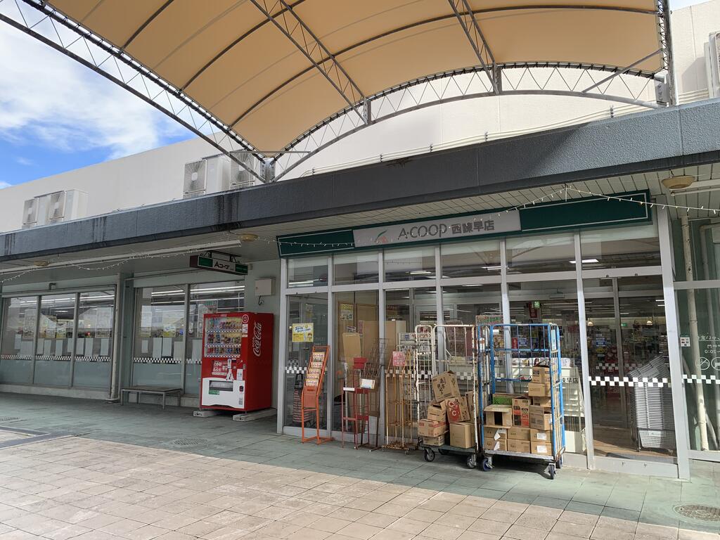 アルメリア白岩_その他_3